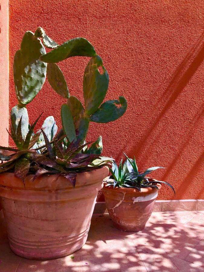 Al Vecchio Fienile Bed & Breakfast San Michele al Tagliamento Exterior foto